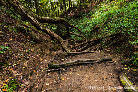 Trails 3-5-9-14