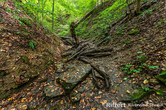 Trails 3-5-9-19