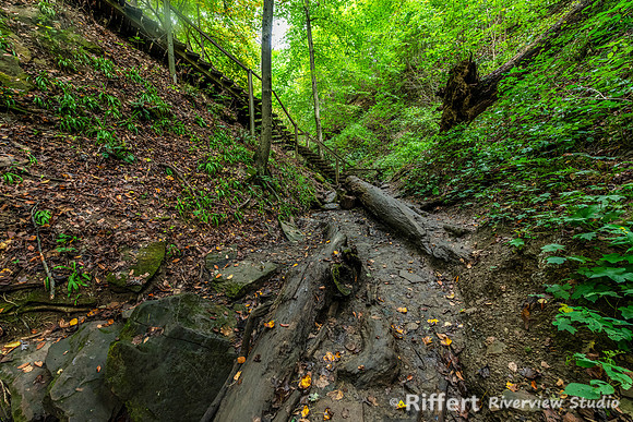 Trails 3-5-9-20