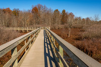 Audubon Park Wetlands
