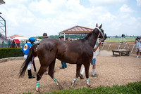 _-15