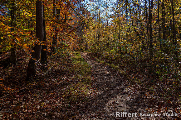 Jeffreys Cliffs-4