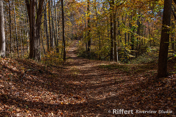 Jeffreys Cliffs-5