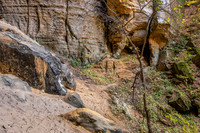 Morgan's Cave at Jeffreys Cliffs-6