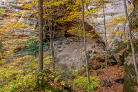 Morgan's Cave at Jeffreys Cliffs-9