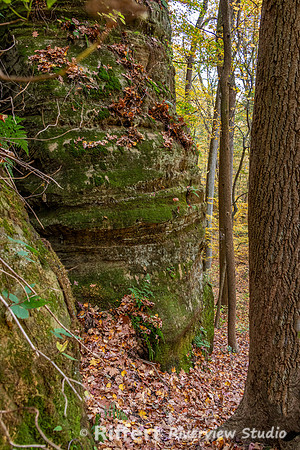 Jeffreys Cliffs-8