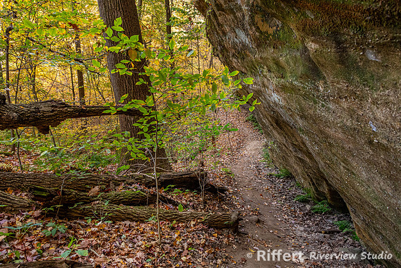 Jeffreys Cliffs-13