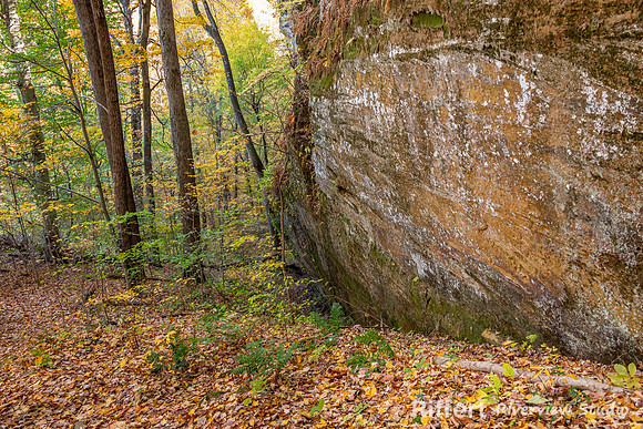 Jeffreys Cliffs-14