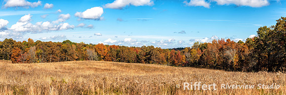 Elk and Bison Prairie