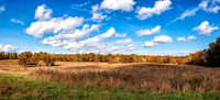 Elk and Bison Prairie-4