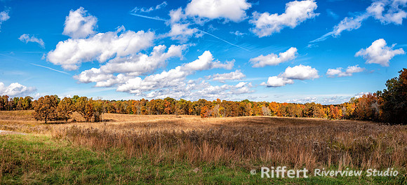 Elk and Bison Prairie-4