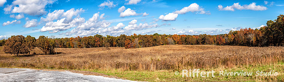 Elk and Bison Prairie-2