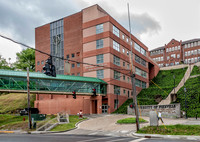 University of Pikeville-3