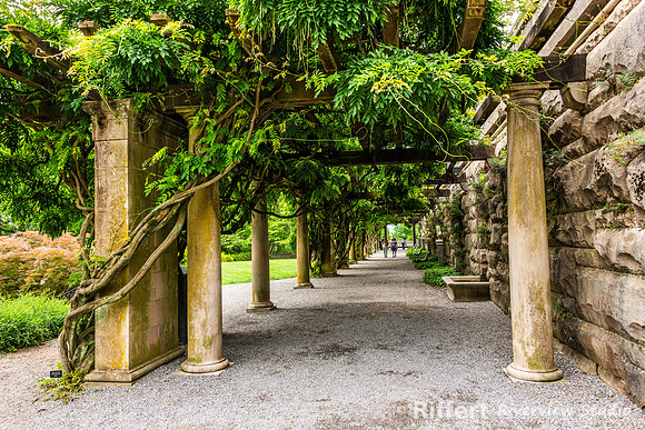 Biltmore Estates