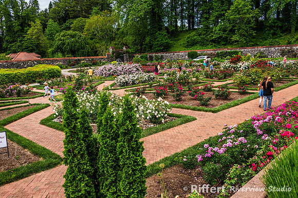Biltmore Estates