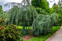 Biltmore Estates