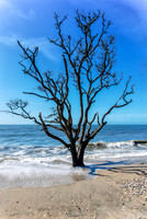 Edisto Island, SC