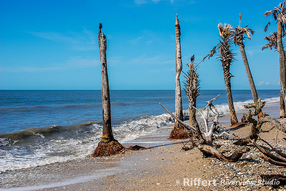 Botany Bay Beach