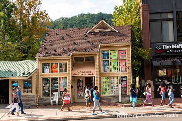 Gatlinburg