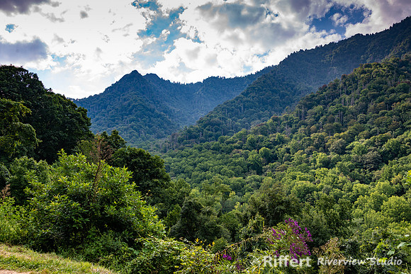 Smokey Mountains