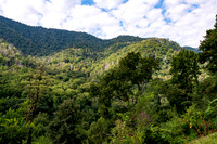 Smokey Mountains