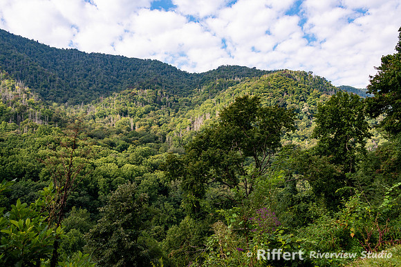 Smokey Mountains