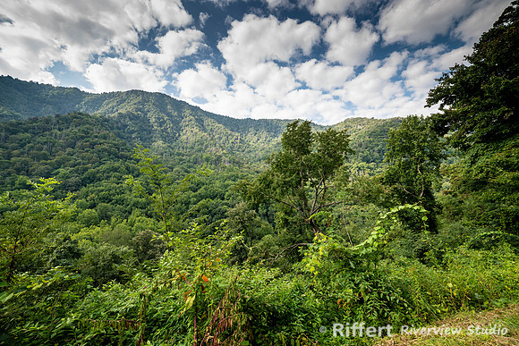 Smokey Mountains