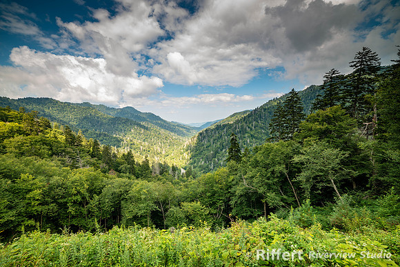 Smokey Mountains