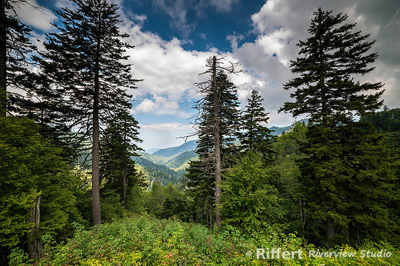 Smokey Mountains