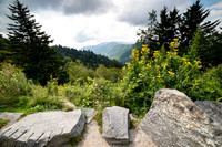 Smokey Mountains
