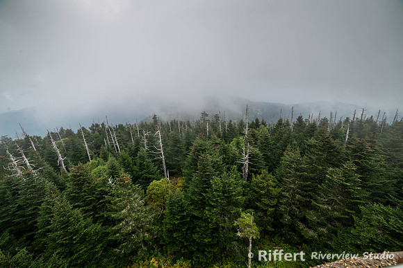 Smokey Mountains