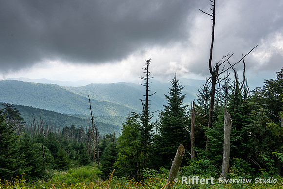 Smokey Mountains