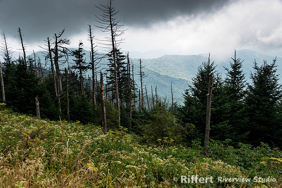 Smokey Mountains