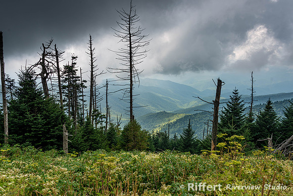 Smokey Mountains