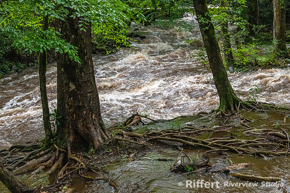 Gatlinburg Trail