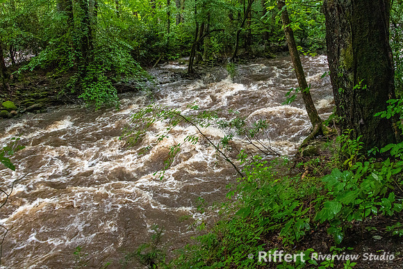 Gatlinburg Trail
