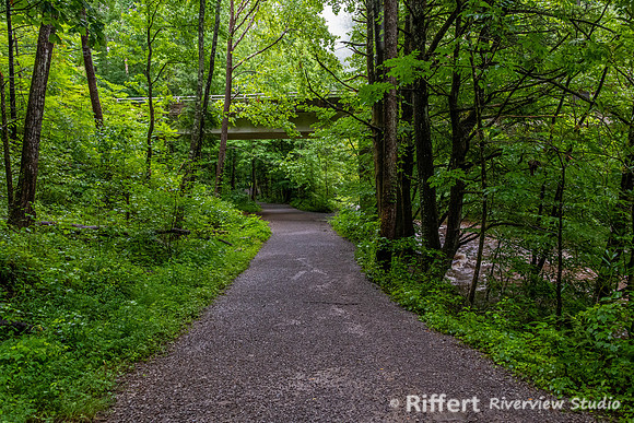 Gatlinburg Trail