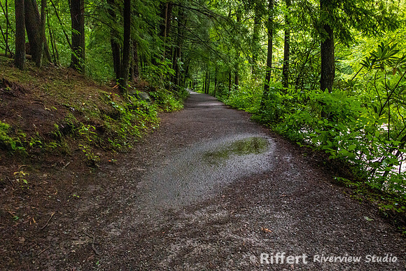 Gatlinburg Trail