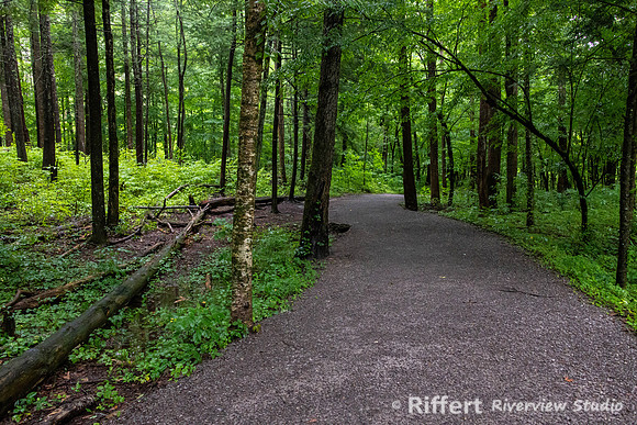 Gatlinburg Trail