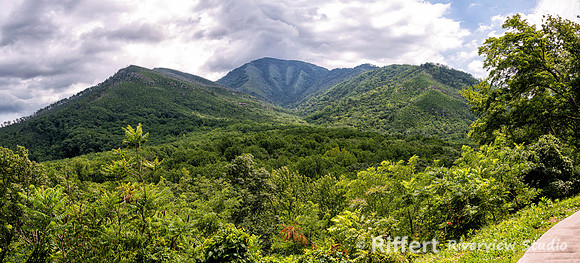 Newfound Gap Road