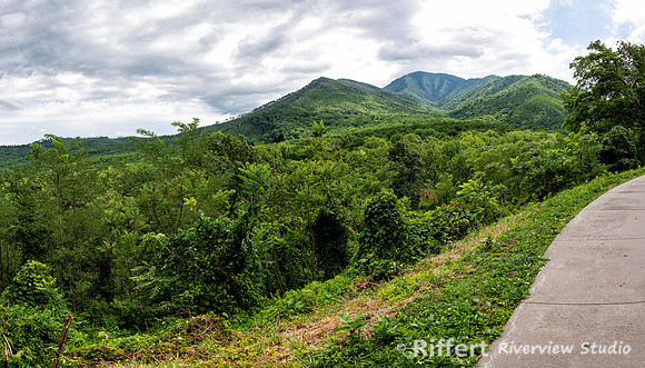 Newfound Gap Road