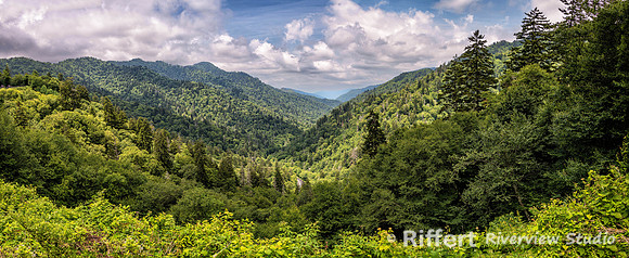 Newfound Gap Road