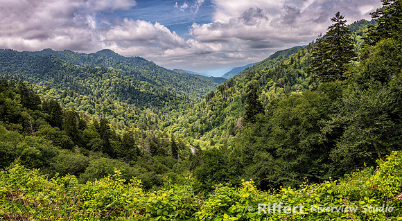 Newfound Gap Road