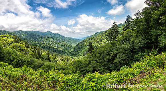 Newfound Gap Road