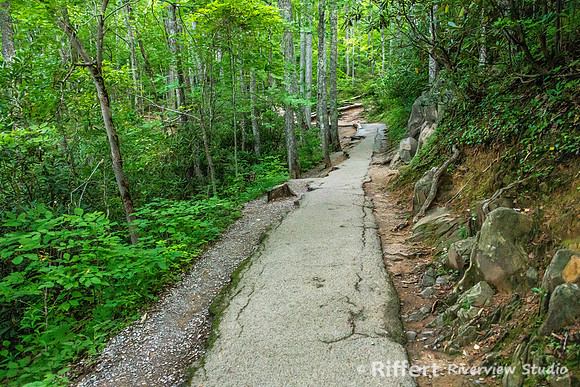 Laurel Falls Trail
