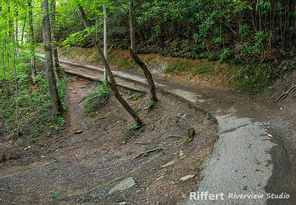Laurel Falls Trail