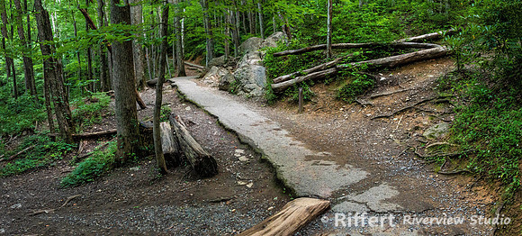 Laurel Falls Trail
