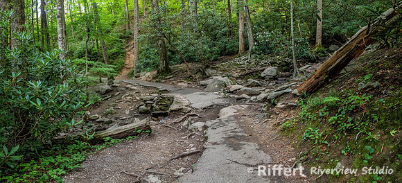 Laurel Falls Trail