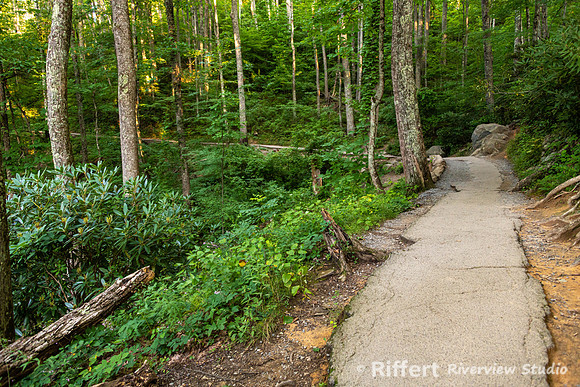 Laurel Falls Trail