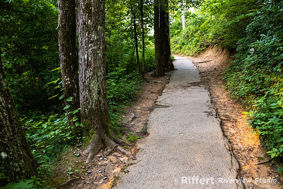 Laurel Falls Trail